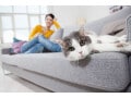 今年こそ100万円を確実に貯める！今すぐ始めるべき3つの習慣