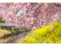 【2025年】3月に株価が上がりやすい業種ベスト3