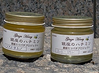 銀座のハチミツ