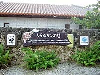サンゴ村