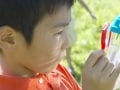 自由研究は「環境問題」、お薦めテーマはこれ！