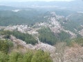 【吉野さくら散歩】奈良屈指の桜名所を訪ね歩く！ 世界遺産・吉野山を彩る3万本の春絶景めぐり
