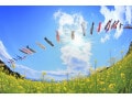 【2025年】5月に株価が上がりやすい業種トップ3！