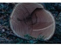 暮らしに『PRIME WOOD』がある喜びを実感できる、ストーリーブック第2弾に注目