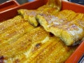 Q. 輸入規制されて「うなぎ」が食べられなくなると聞きましたが、本当ですか？【専門家が解説】