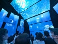 お得に賢く巡る！ 旅育のプロが「大阪・関西万博」のおすすめパビリオン＆過ごし方を徹底解説