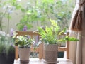 「貧乏体質な人」の部屋の特徴とは？脱・貧乏体質のヒント