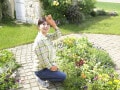 年金の繰り下げ受給する人の割合が意外と少ないのはどうして？【最新版】