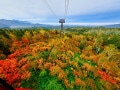 北海道・東北で人気の「紅葉スポット」ランキング！ 2位は「大雪山」、1位は？【専門家の解説も】