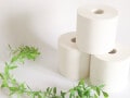 日用品がちょっとリッチに「株価もおおむね安定している」30歳女性が3年保有する株主優待