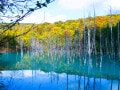 「北海道」に詳しい旅のプロが感動した！ 秋の行楽に本気で推したい名所3選【2025年最新】
