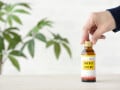 Q. 「子どもにエナジードリンクを飲ませるのは危険」って本当ですか？