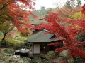 「横浜」に詳しい旅のプロが感動した！ 秋の行楽に本気で推したい名所3選【2025年最新】