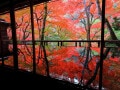 【2025年】京都で人気の紅葉スポットランキング！ 2位は「嵐山」、1位は？【専門家のおすすめも】
