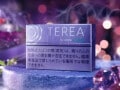 吸いごたえが強いと思うフレーバーメンソール加熱式たばこランキング！2位「テリア パープル メンソール」1位は？【専門家の解説も】