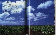 ハワイにまつわるステキな50のストーリー　ハワイの50の宝物