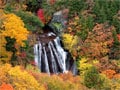 絶景！横谷渓谷　鴛鴦の滝・王滝の紅葉！