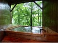蓼科温泉ホテル親湯（しんゆ）に泊まる