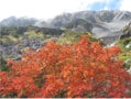 アルプスで紅葉が始まりました！
