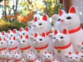 9月18日は「天一天上」など3つの吉日が重なる開運日！「再始動」の日にやるといいことは？