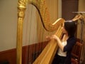 音色の美しい楽器、ハープを奏でる！
