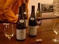 やって来ました、これがブルゴーニュワイン村　そうだ、ボーヌに行こう！(3)