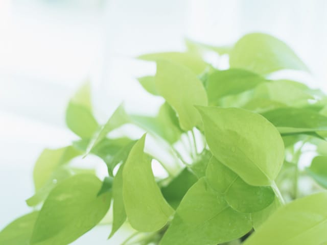 脱・砂漠肌！ スペシャルケアで潤いの肌へ