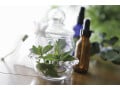 水虫に効果的なアロマオイルとは？ 効果的なオイルとその活用法