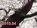 2010年４月　資格カレンダーMEGAMORI!!![1]