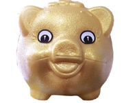 黄金のブタ年とは!? 豚に恋い焦がれる韓国