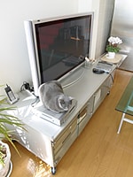 テレビ