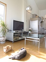  部屋