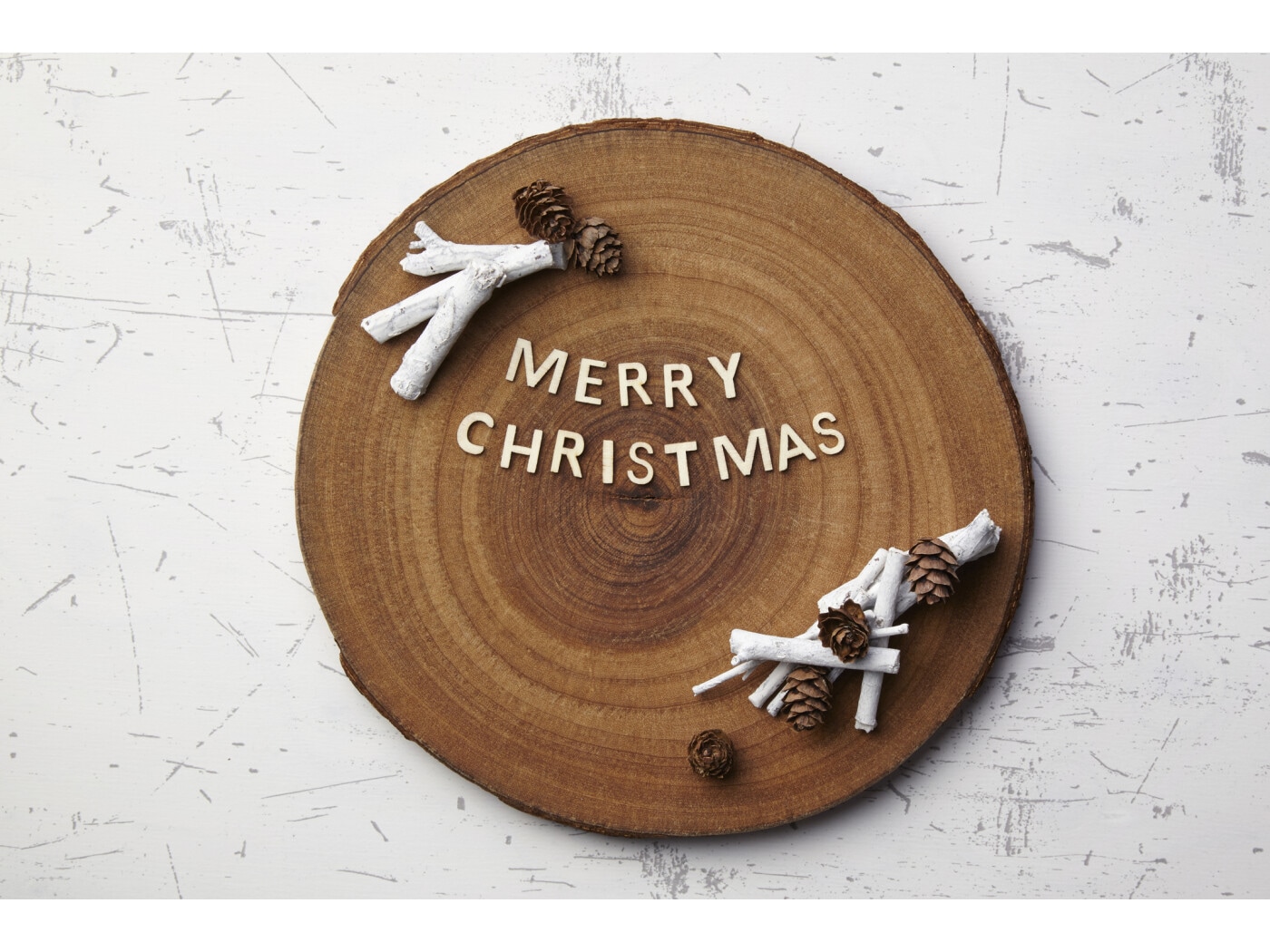 merry様 専用ページ SKZOOMINI ぬい服 【公式通販】