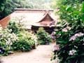 琵琶の音に心安らぐ箱根のあじさい寺