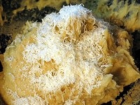 チーズを入れる
