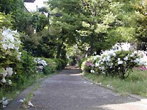「環境」「自然」に関する資格