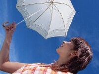 画像の代替テキスト