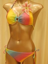 rainbow2.jpg
