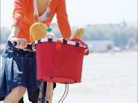 carry bag