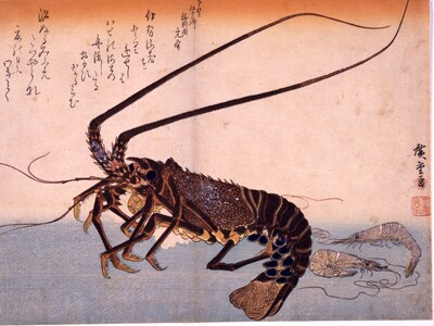 >《魚づくし》 伊勢海老と芝蝦 