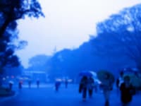 雨に負けない美しい歩き方