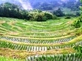 鴨川房総エリアで国内・海外デュアル移住