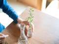 一輪挿しを綺麗に活ける！花と花器のバランスのとり方