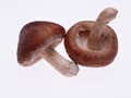 食物繊維はカロリーゼロじゃなかった！