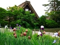 ＧＷは世界遺産に出かけよう！ 花の日本編