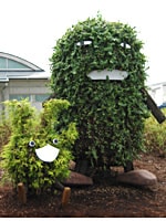 植木モリコロ