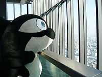 やっぱりたっきゃぁとこ（高い所）は気分がエエがね！