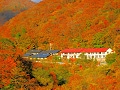 峩々温泉(がが温泉)で紅葉と名宿を堪能