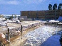 犬吠埼で日本一早い初日の出を拝む