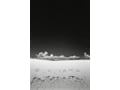 福山雅治写真展『記憶の箱庭』を訪れて